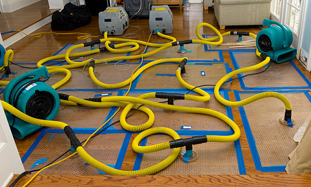 Professional Storm Water Damage Restoration technician working in Old Westbury, NY